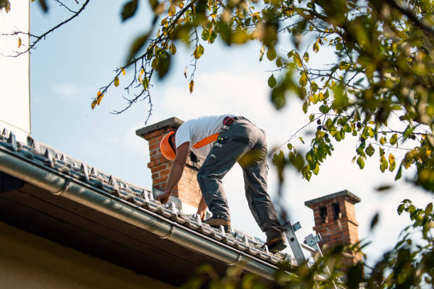 Emergency Roof Repair in Braddock Hills, PA