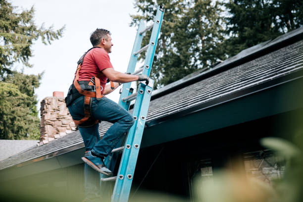 Best Sheet Metal Roofing  in Braddock Hills, PA